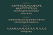 NCL Kerih Moady - Retro Groovy, a Serif Font by Enxyclo Studio (Thumbnail 9 of 15)