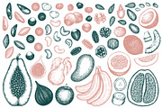 Paleo Diet Vector Collection, a Food Illustration by Lubov Illustrations Shop (Thumbnail 4 of 7)