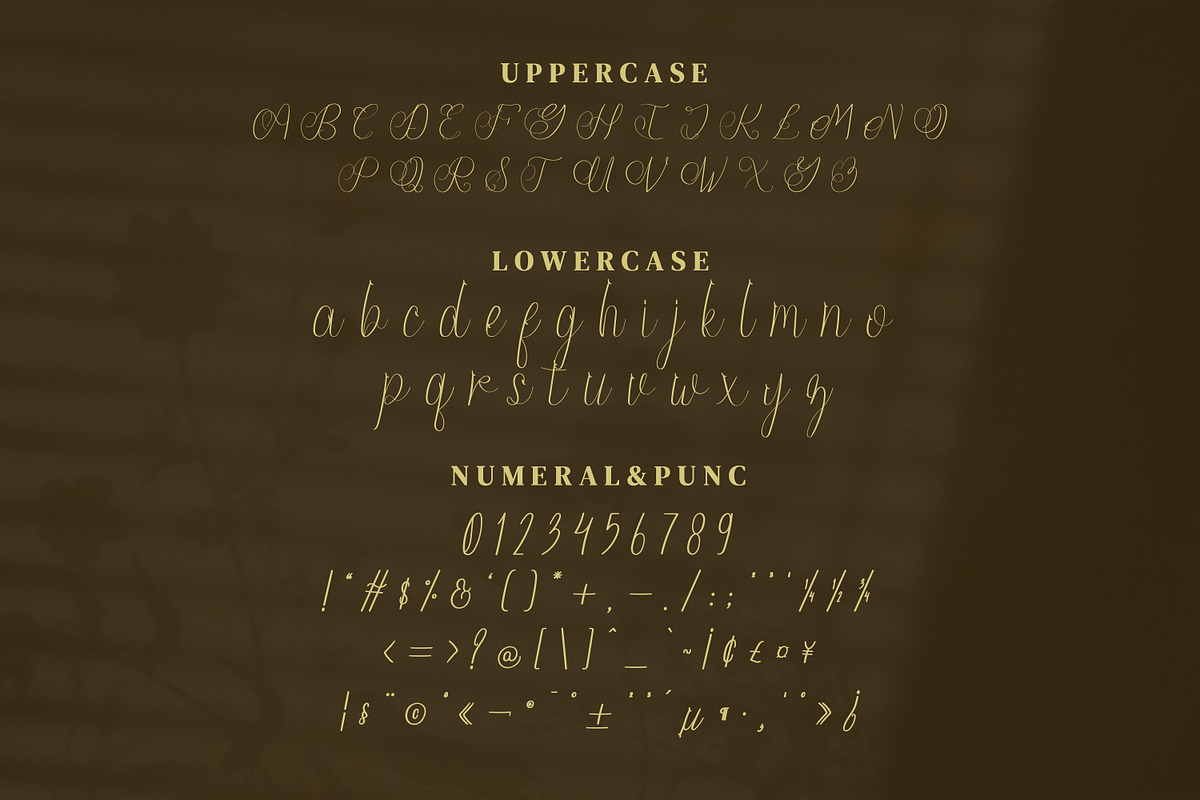 Youfiny Script Fonts, a Script Font by mahstudios (Photo 9 of 11)