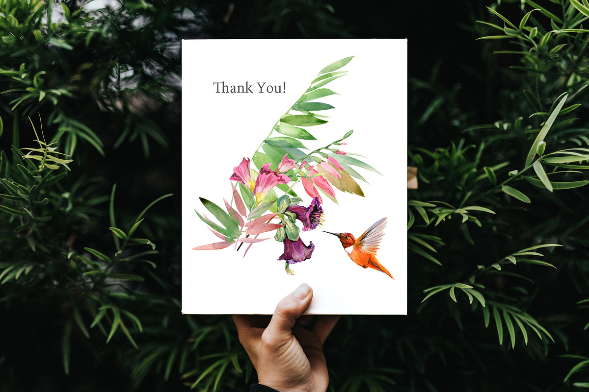 Watercolor Tropical plant & Bird, an Object Graphic by FineArt (Photo 22 of 22)