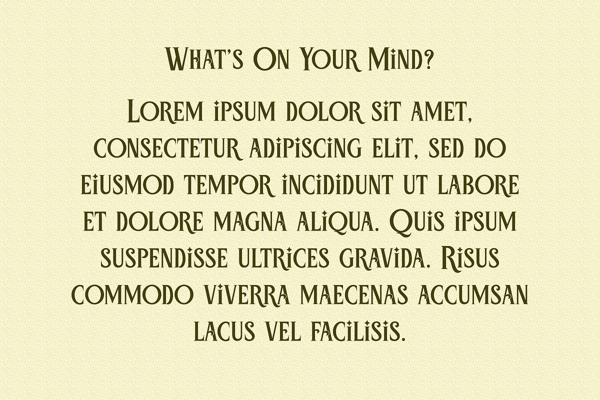 Holiday Spring - Display Serif Font, a Serif Font by Airotype (Photo 9 of 12)