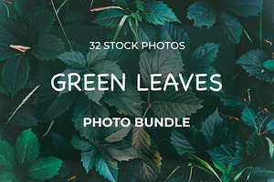 Green leaves Bundle