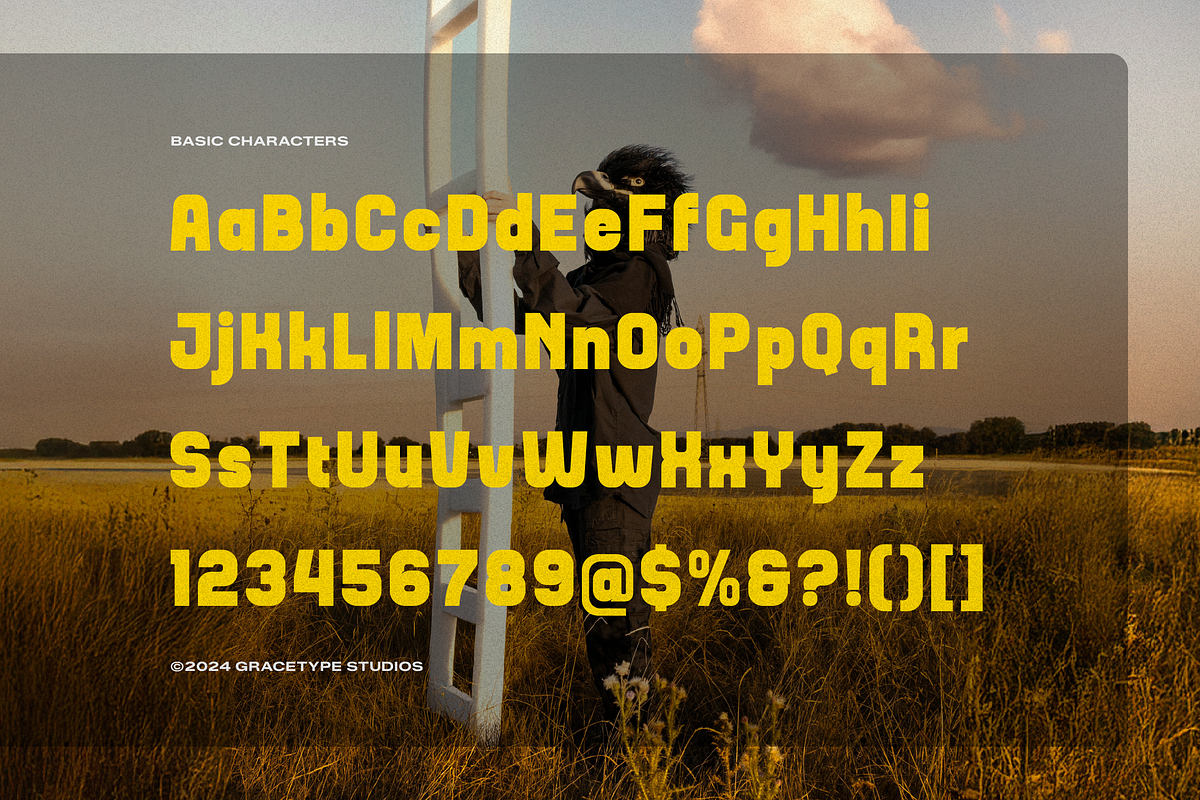 Stalfolk | Display Bold Sans, a Sans Serif Font by gracetype_studio (Photo 10 of 12)