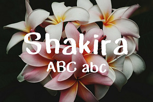 Shakira Typeface