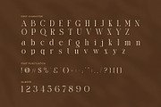 Cindows Elegant Ligature Serif Font, a Serif Font by Perfectype (Thumbnail 7 of 8)