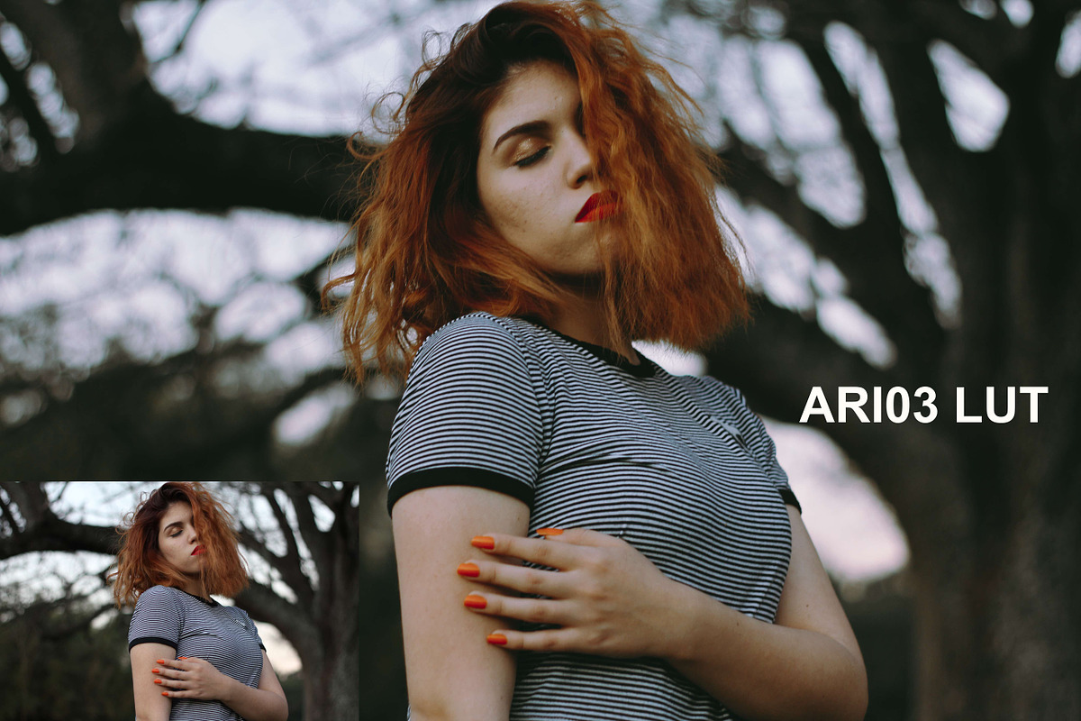 Ariel Bourgoing Luts Pack, an Action Add-On by Bourgoing Presets (Photo 2 of 4)