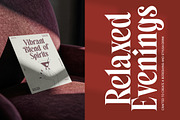 Belagu Modern Display Serif Font, a Serif Font by timelesstype.co (Thumbnail 15 of 20)