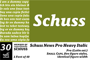 SchussNewsProHeavyIta No.30 (1 Font)
