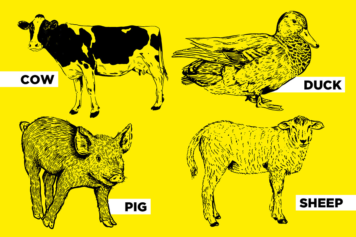 Farm Animal Illustration Collection, an Animal Illustration by Lettering Supply Co. (Photo 3 of 3)