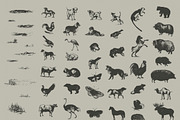 Vintage Animal Drawings Bundle, an Object Graphic by danielcomerci (Thumbnail 2 of 4)