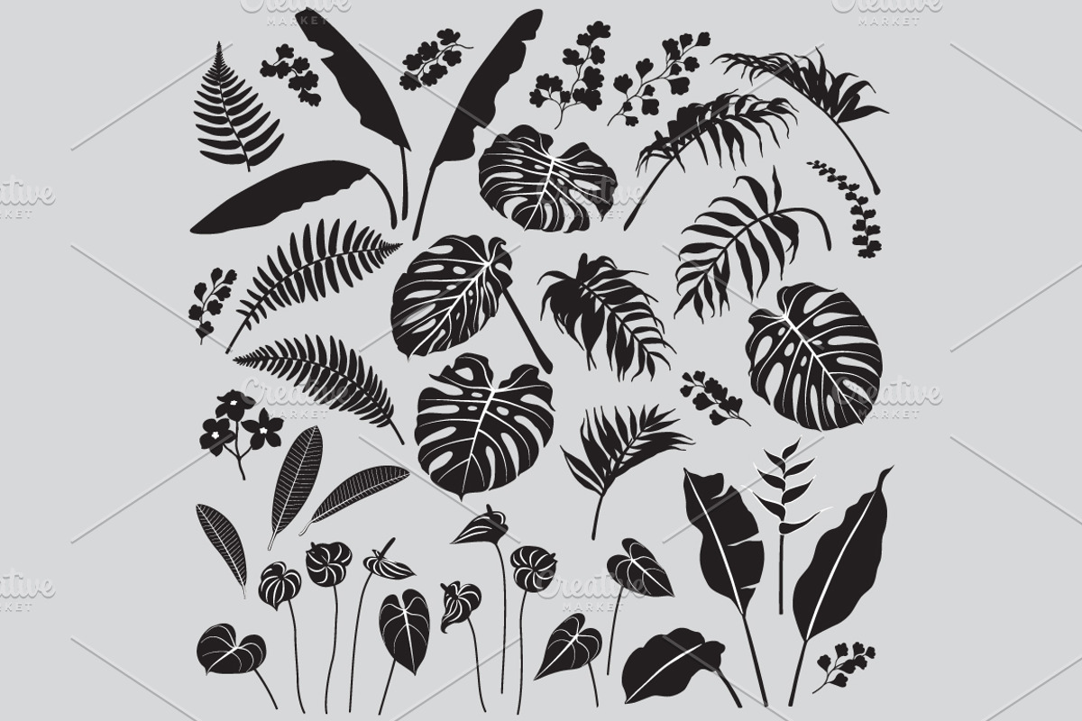 Tropical Leaves and Flowers, a Decorative Illustration by Valentyna Smordova (Photo 2 of 2)