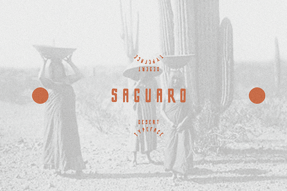 Saguaro preview 5