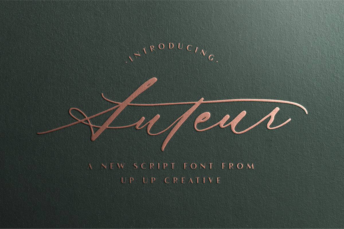 Auteur Calligraphy Script Font, a Script Font by Up Up Creative (Photo 1 of 16)