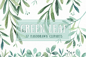 Green Leaf Watercolor Clipart