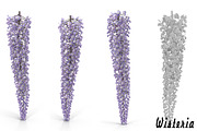 Wisteria, an Environmental 3D Model by AndrewWhite (Thumbnail 1 of 10)