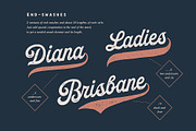 Palmer Script & Sans + Logo Template, a Script Font by Andrey Sharonov (Thumbnail 10 of 17)