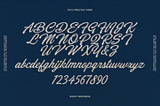Preizton - Vintage Matchbooks Font, a Sans Serif Font by Roams Type (Thumbnail 5 of 11)