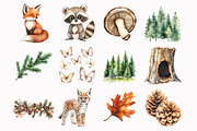 Watercolor Woodland Babies Clipart, an Illustration by Design Market (Thumbnail 4 of 5)