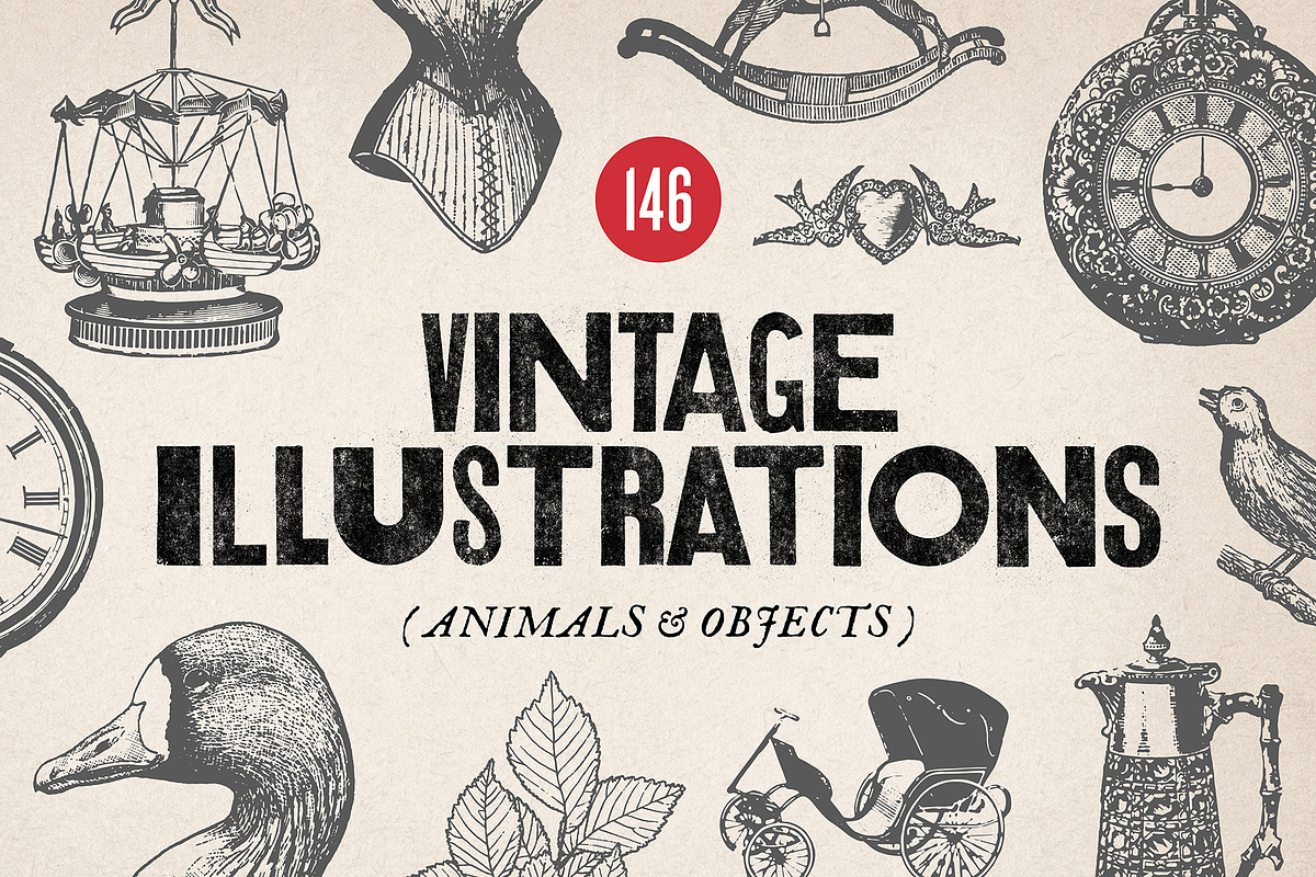 146 Vintage Illustrations, an Object Illustration by Polymath (Photo 1 of 14)