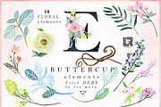 -50% Off Buttercups. Ranunculus pink, an Illustration by LABFcreations (Thumbnail 12 of 12)