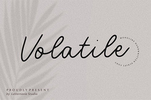 Volatile - Monoline Script Font