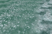 AUTUMN AND WINTER TEXTURE PACK, a Textures & Material 3D Model by Beatheart Creative Studio (Thumbnail 26 of 58)