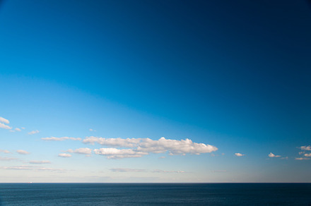 Tree Over The Sea preview 6