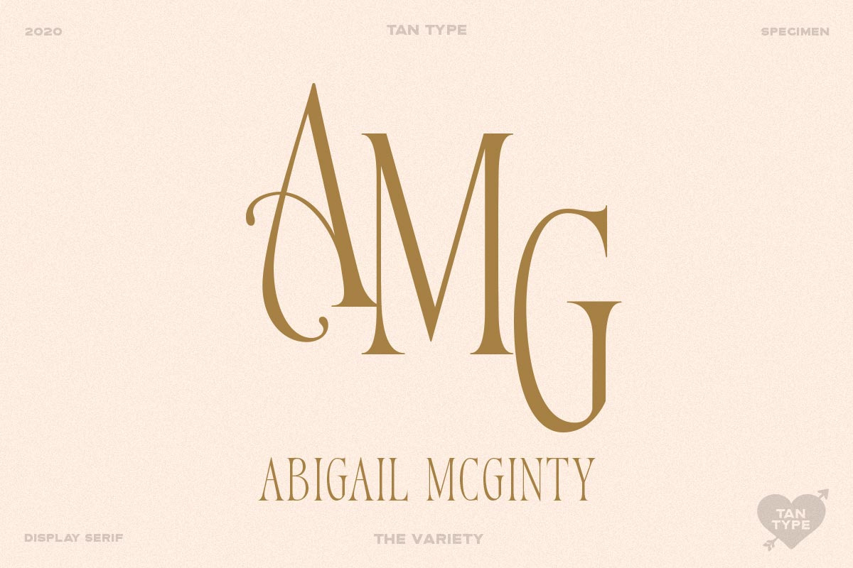 TAN - Variety, a Serif Font by TanType (Photo 12 of 26)