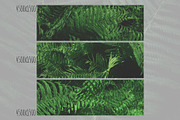 Green textures - photo bundle, a Nature Photo by rorygez fresh (Thumbnail 6 of 6)
