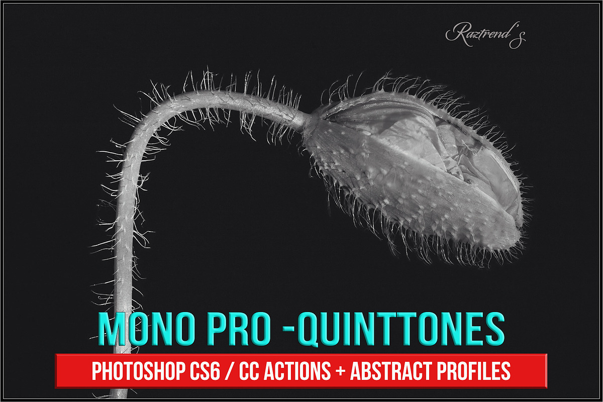 Mono Pro - Quinttones, an Action Add-On by Raztrend (Photo 1 of 12)