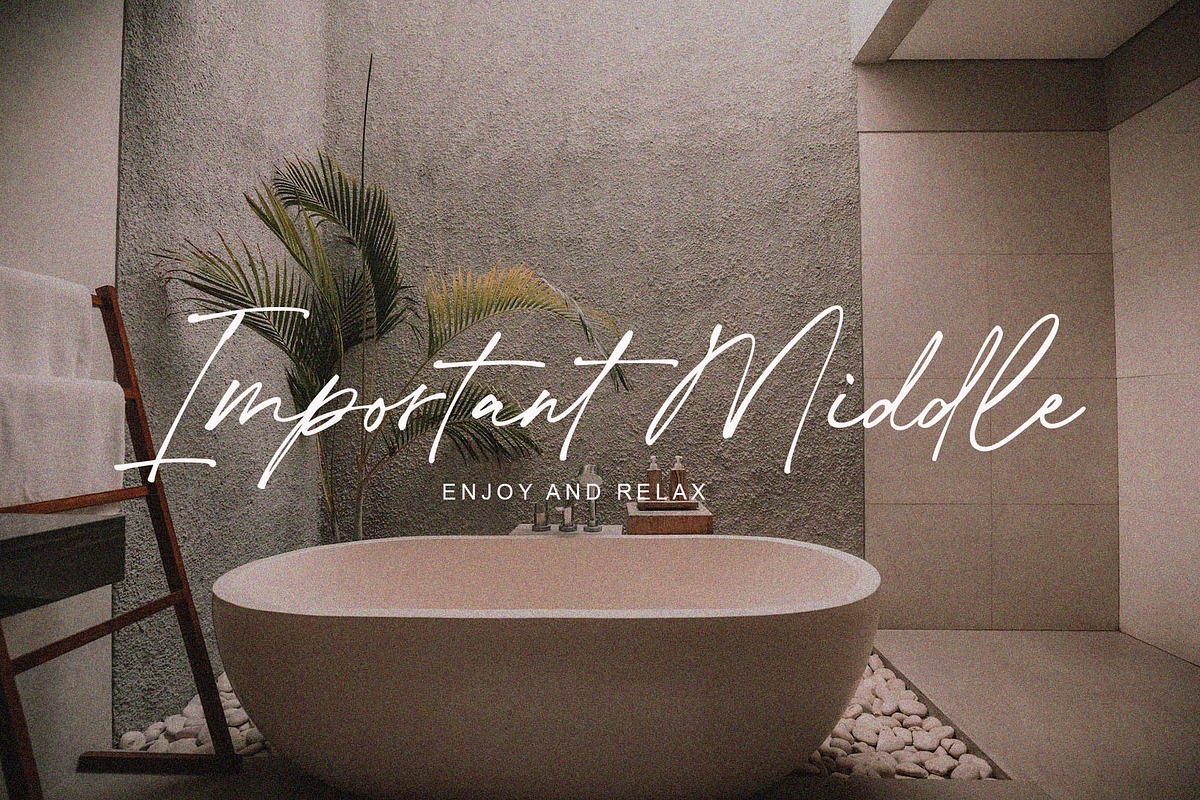 De Lionist - Handwritten Script Font, a Handwritten Font by Myn Type (Photo 3 of 15)
