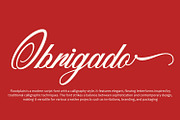 Floodplain - Modern Script Font, a Script Font by HeyFonts (Thumbnail 10 of 10)