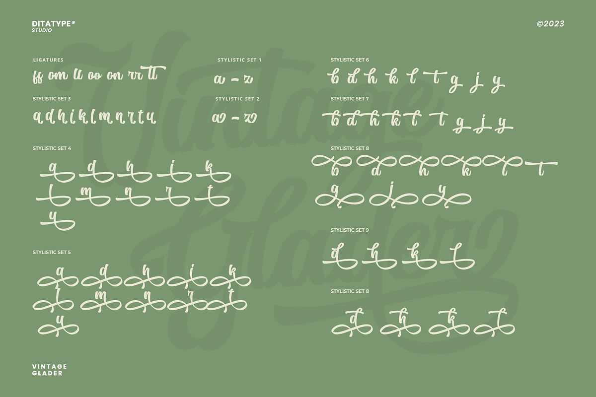 Vintage Glader, a Script Font by Ditatype (Photo 8 of 10)
