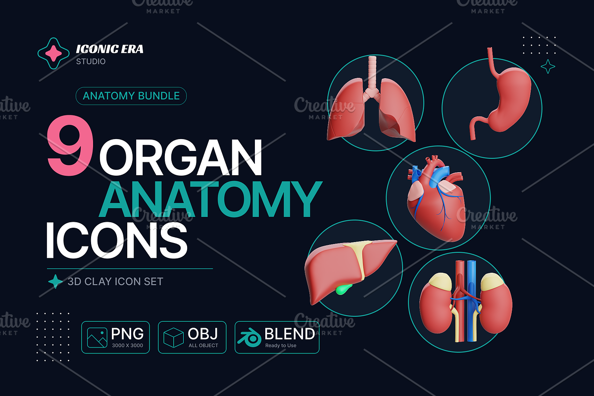 Organ Anatomy 3D Clay Medical Icons, an Object 3D Model by Iconic Era (Photo 2 of 4)