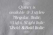 Quincy Serif, a Serif Font by dealitastudio (Thumbnail 6 of 13)