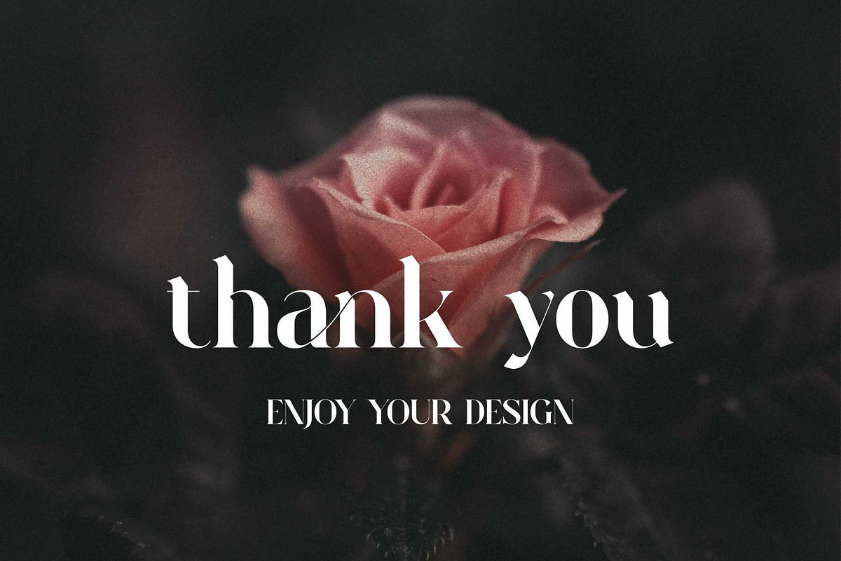 Raung Modern Ligature Serif, a Serif Font by Dylla_studio (Photo 13 of 13)