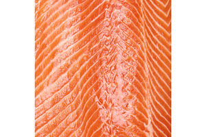 Close-up texture of fresh red salmon fish fillet on isolated bac, a Food & Drink Photo by ndanko