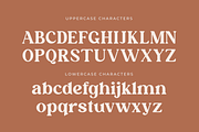 Millaris, a Serif Font by zeenesia (Thumbnail 10 of 12)