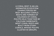 Coral&Reef - Vintage Sans Serif, a Sans Serif Font by Mikhail Kitsune (Thumbnail 2 of 8)