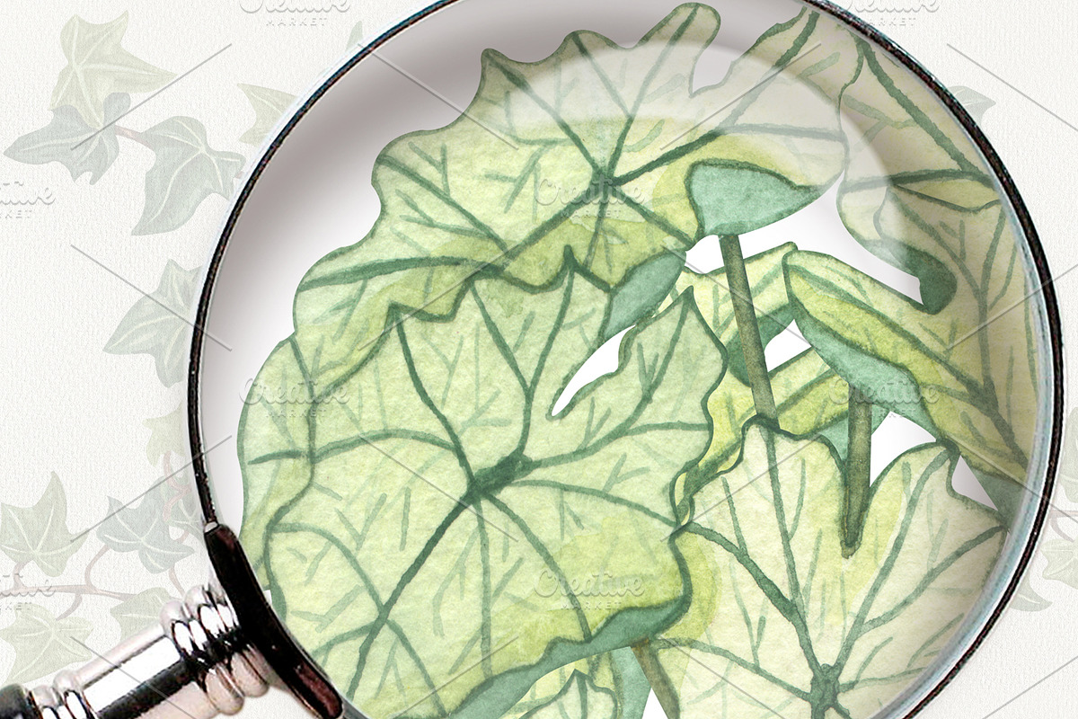 Potted Plants Watercolor clipart, an Object Illustration by BarvArt (Photo 7 of 8)
