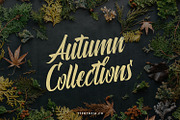 Polaria Script Typeface, a Script Font by edukka (Thumbnail 3 of 8)