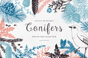 Vintage Winter Plants Collection, an Object Graphic by Yevheniia (Thumbnail 1 of 8)