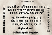 Avocado Sunday - Updated, a Serif Font by Absonstype (Thumbnail 10 of 13)