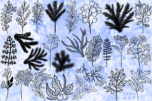 Wildflowers Winter Brushes Procreate