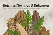 Forest Calm  Flatlays, Botanical PNG, an Object Graphic by Pachel (Thumbnail 4 of 6)