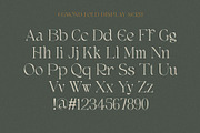 Egmond - Old Display Serif, a Serif Font by Craft Supply Co. (Thumbnail 10 of 10)