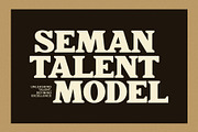 Quick Moncky Elegant Serif Font, a Serif Font by Perfectype (Thumbnail 2 of 8)