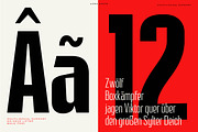 HN Neue Lifter, a Sans Serif Font by Hora Nocte (Thumbnail 8 of 10)
