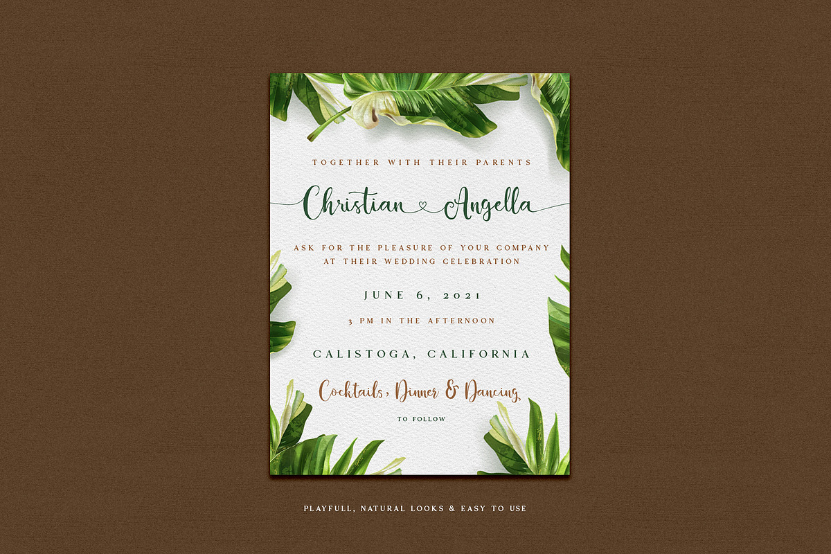 Alocasia-Trio Font Combination preview 7