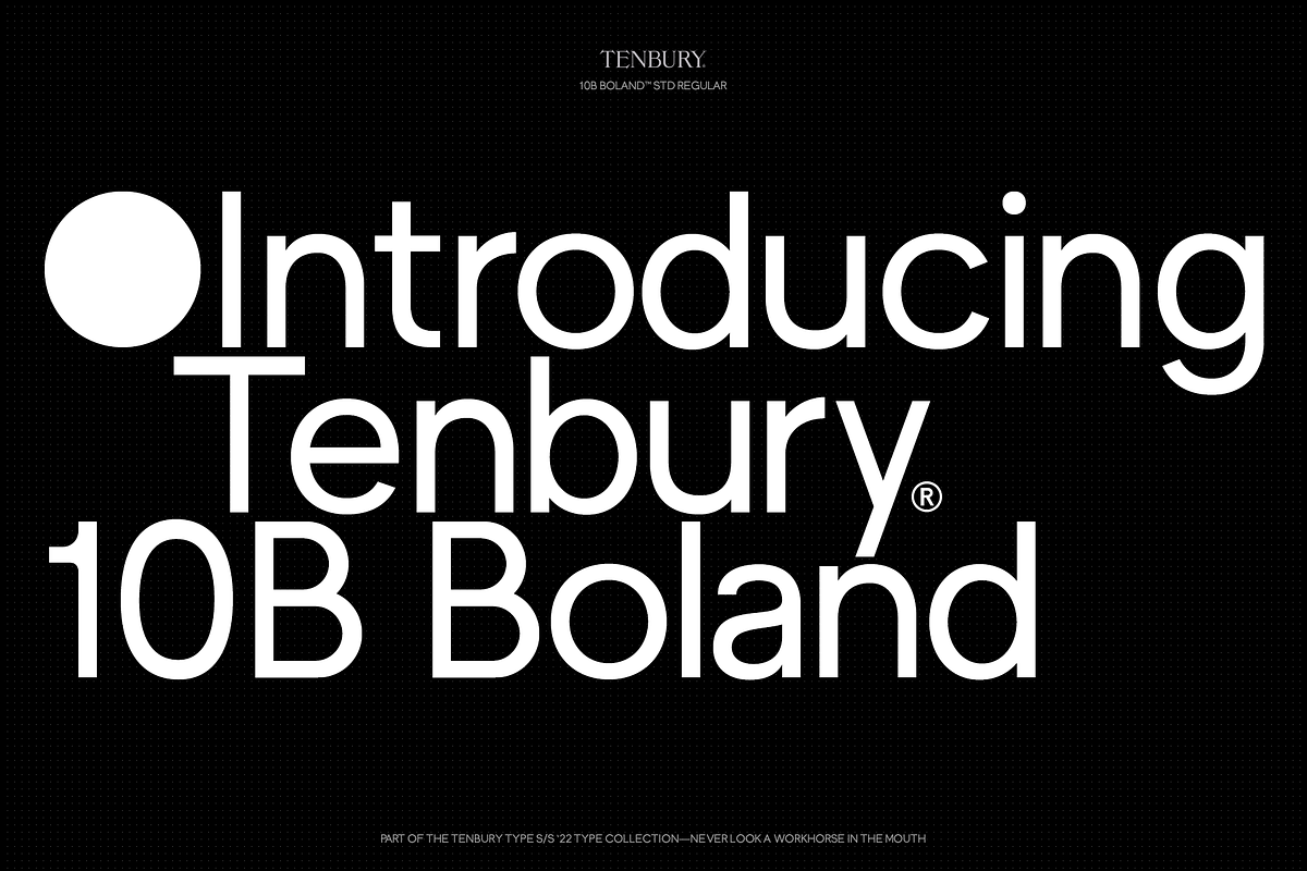 10B Boland: Timeless Geometric Sans, a Sans Serif Font by Tenbury Type (Photo 1 of 4)